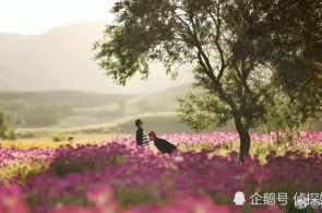 李强缔结邦务院令 文书《邦务院闭于履行〈中华全体共和邦公执法〉注册资本立案料理轨制的规章》